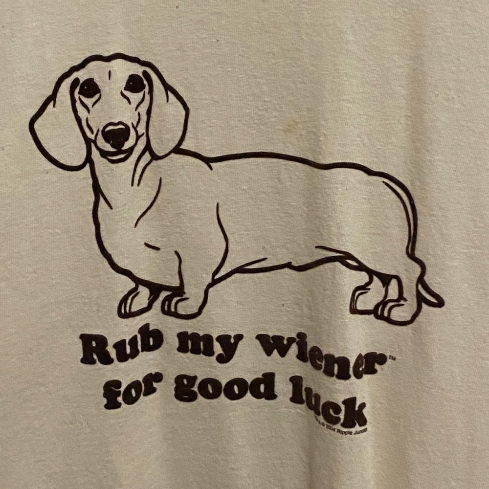 Gildan Large Amusement Tee.